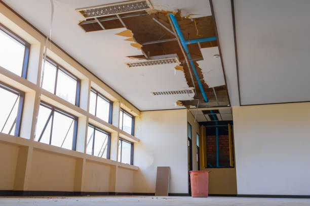 Best Professional water damage repair  in Mmerce City, CO