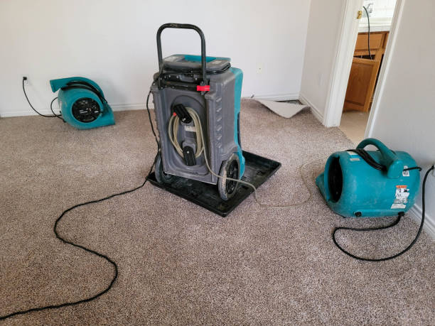 Best Water damage restoration near me  in Mmerce City, CO