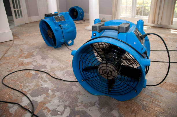 Best Water damage restoration specialists  in Mmerce City, CO